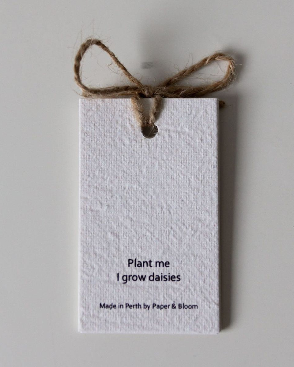 Seed Cards