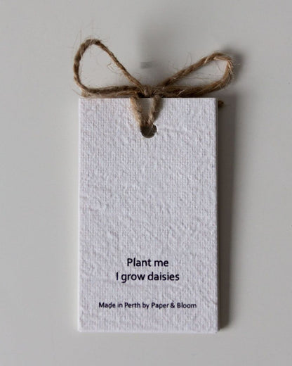 Seed Cards